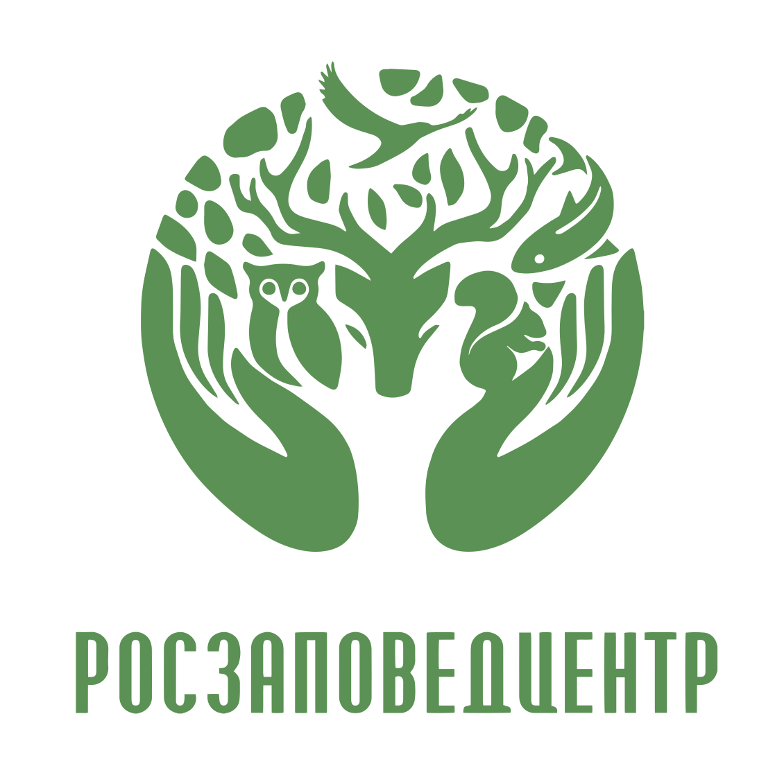 Фгбу приморское